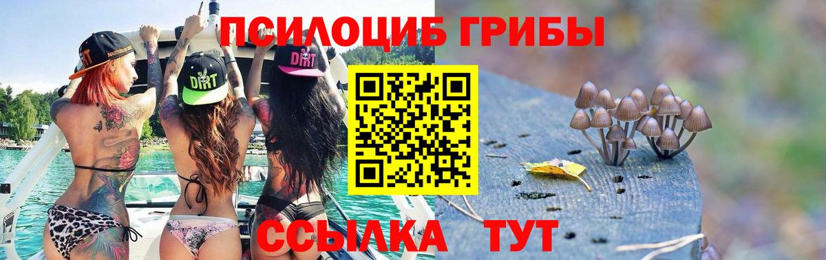 Псилоцибиновые грибы Psilocybe  Вход с VPN  Киров 