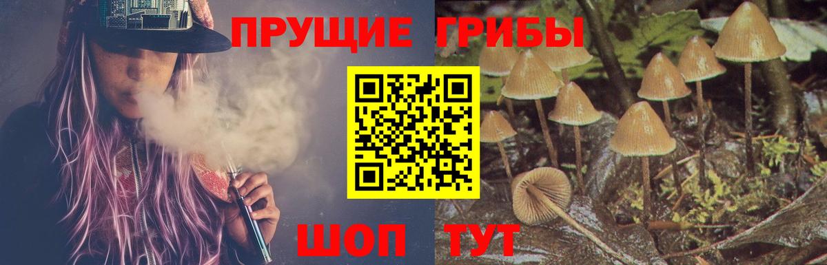 Галлюциногенные грибы мицелий Киров